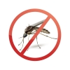 Jak pozbyć się komarów? Sposób na komary w ogrodzie